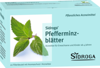 SIDROGA Pfefferminzblätter Tee Filterbeutel