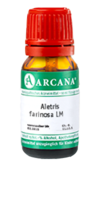 ALETRIS FARINOSA LM 36 Dilution