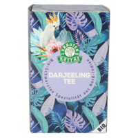 DR.KOTTAS Darjeeling Schwarztee Filterbeutel