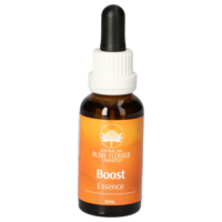 BUSH Boost Essence austr.Bushblüten-Mischung
